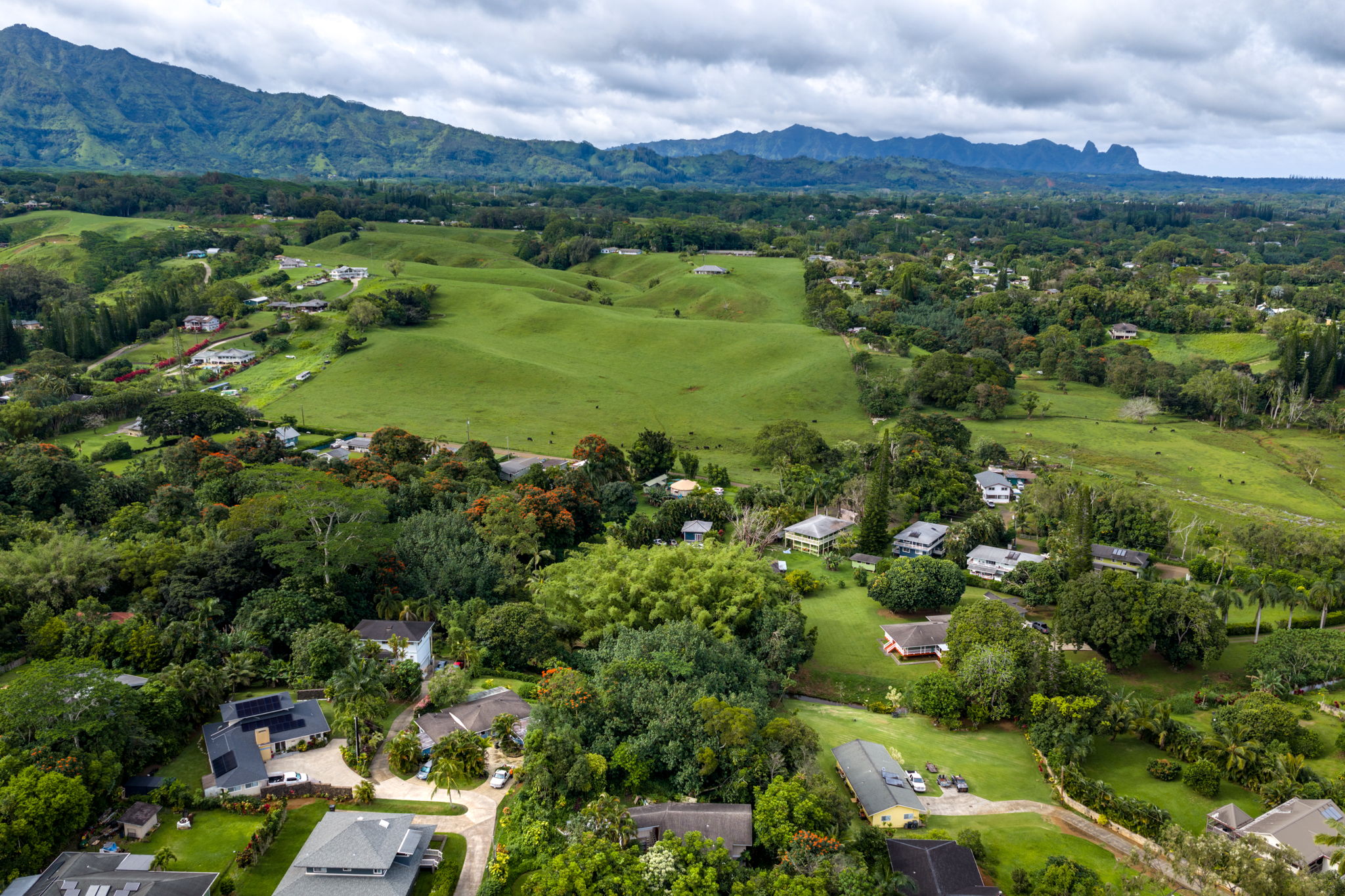 156 B Kalama Road Kapaa, HI 96746 - Photo 15 of 21 an aerial view of green landscape with trees houses and mountain view