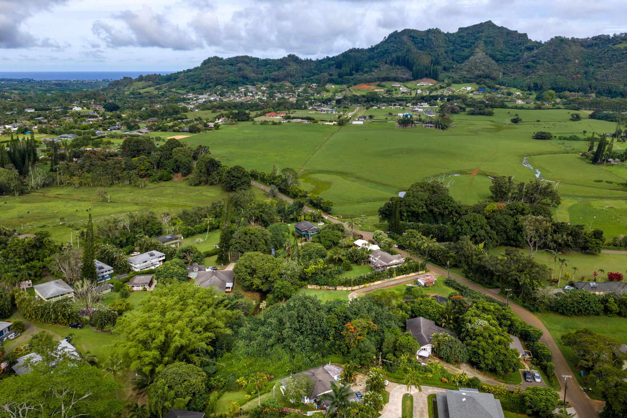 156 B Kalama Road Kapaa, HI 96746 - Photo 16 of 21 a view of a lush green hillside and houses