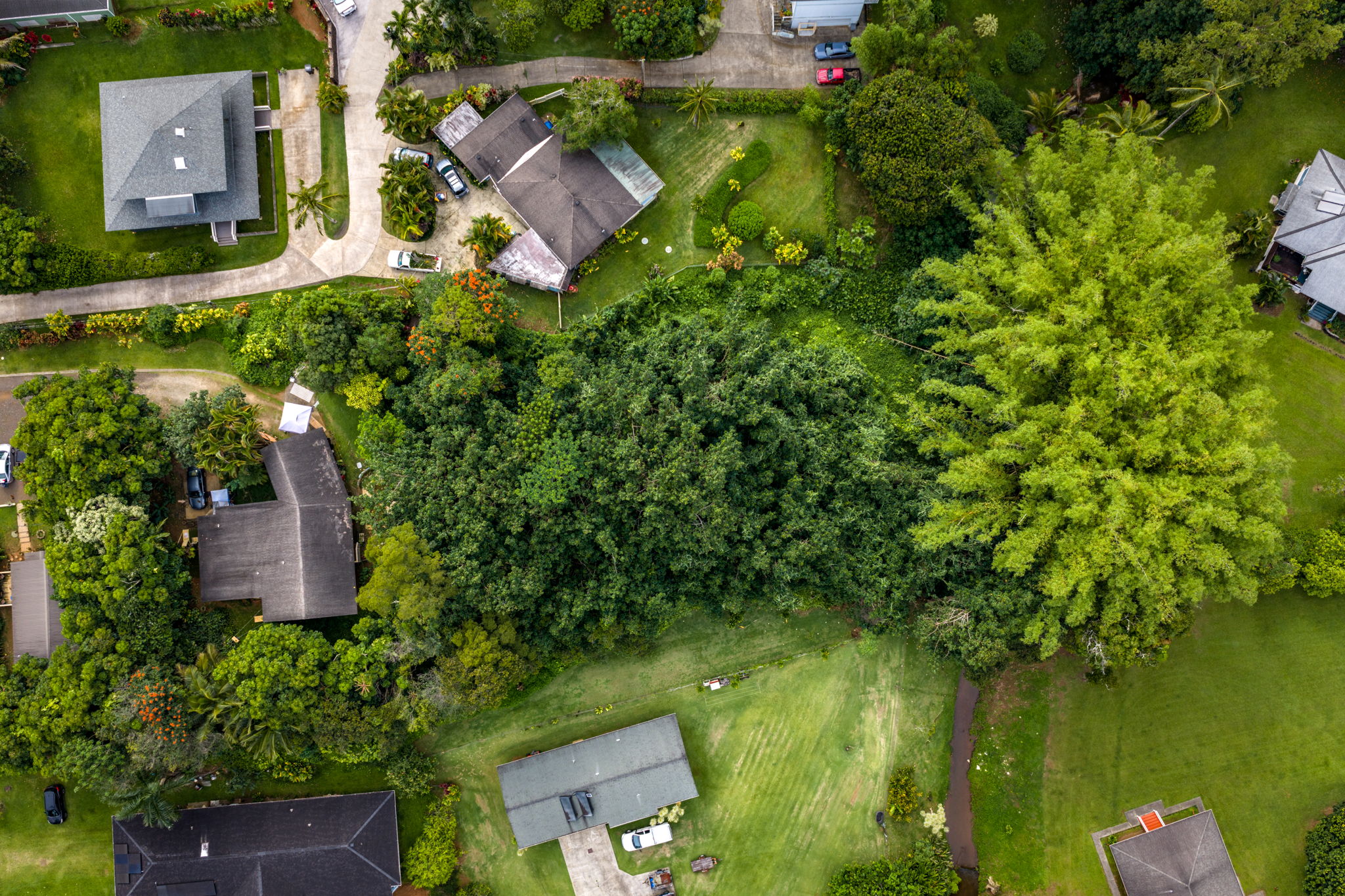 156 B Kalama Road Kapaa, HI 96746 - Photo 17 of 21 an aerial view of residential house with outdoor space and trees all around