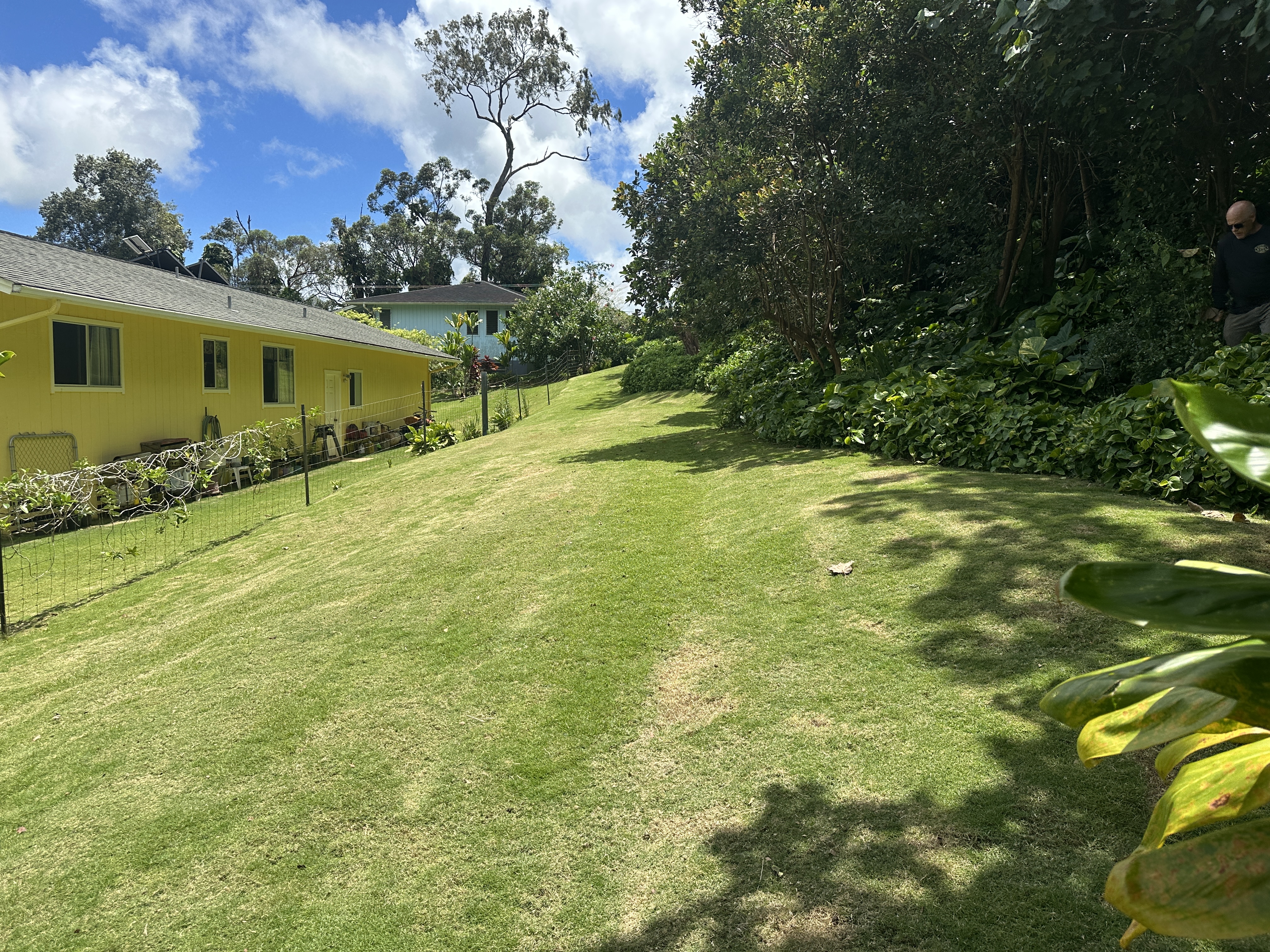 156 B Kalama Road Kapaa, HI 96746 - Photo 19 of 21 a view of a yard with plants and a house