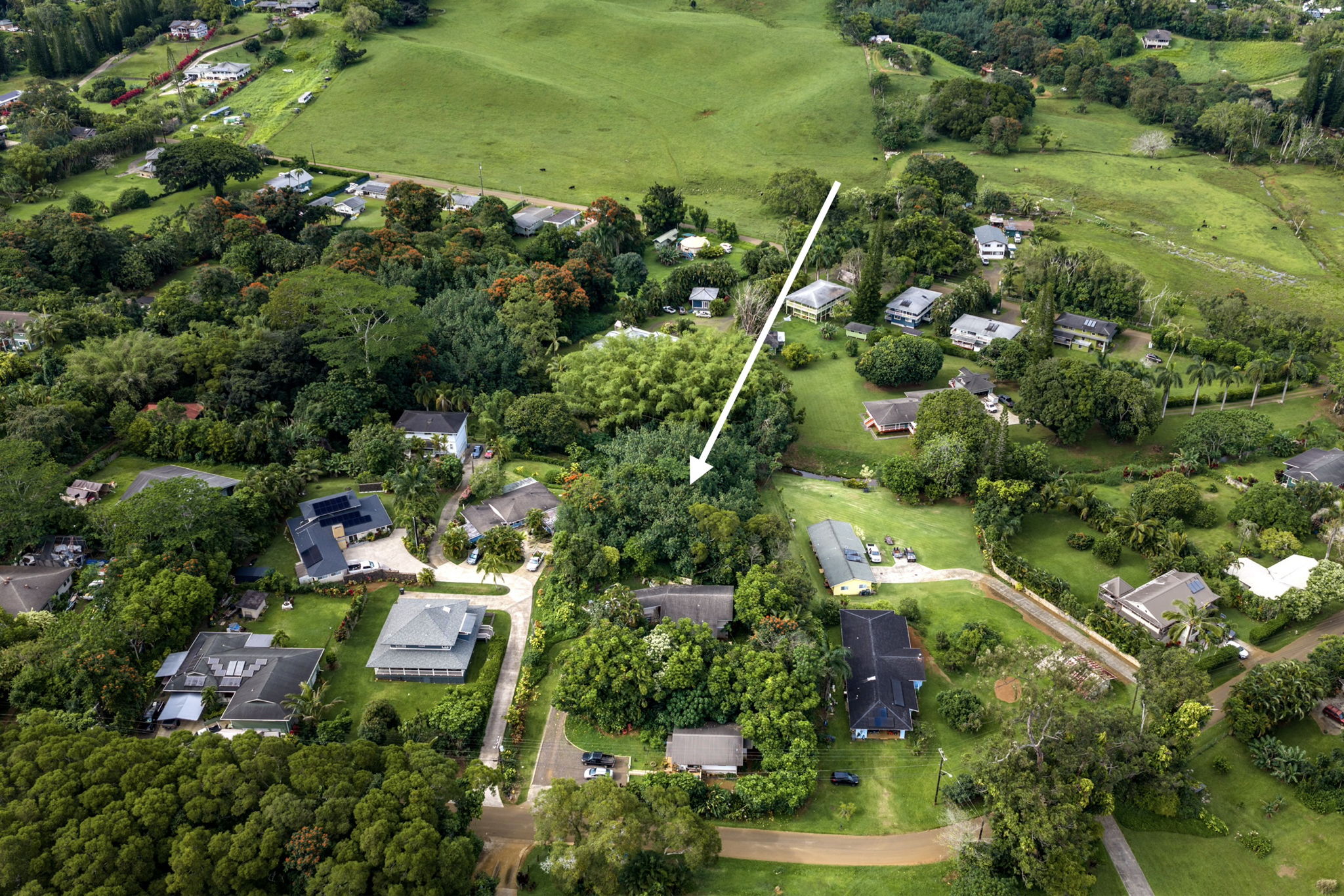156 B Kalama Road Kapaa, HI 96746 - Photo 2 of 21 an aerial view of residential houses with outdoor space and trees