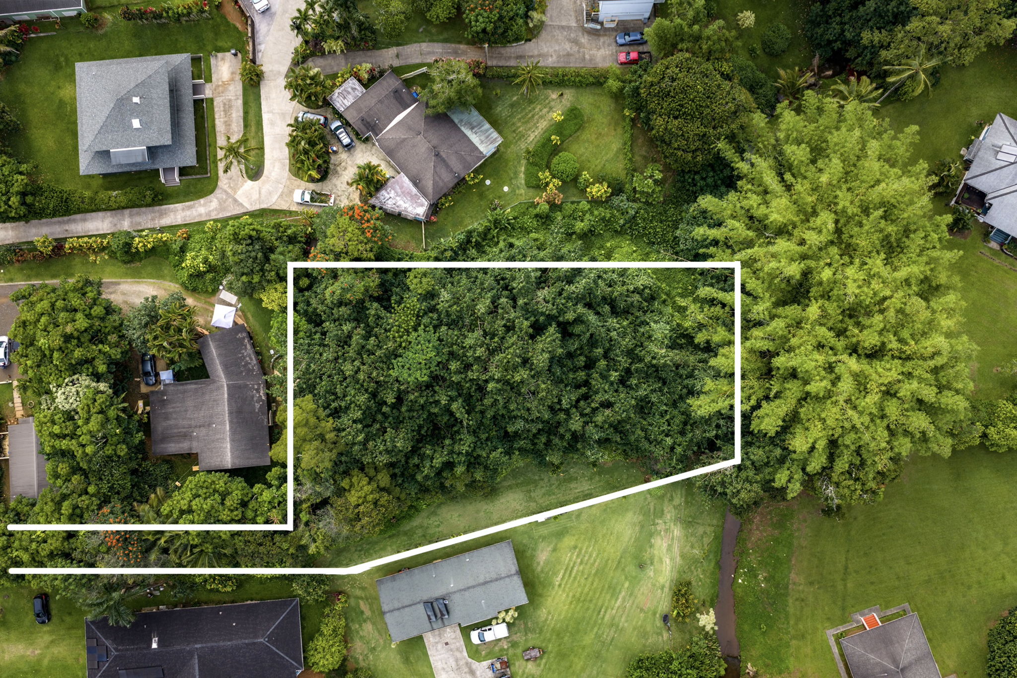 156 B Kalama Road Kapaa, HI 96746 - Photo 3 of 21 a view of a garden