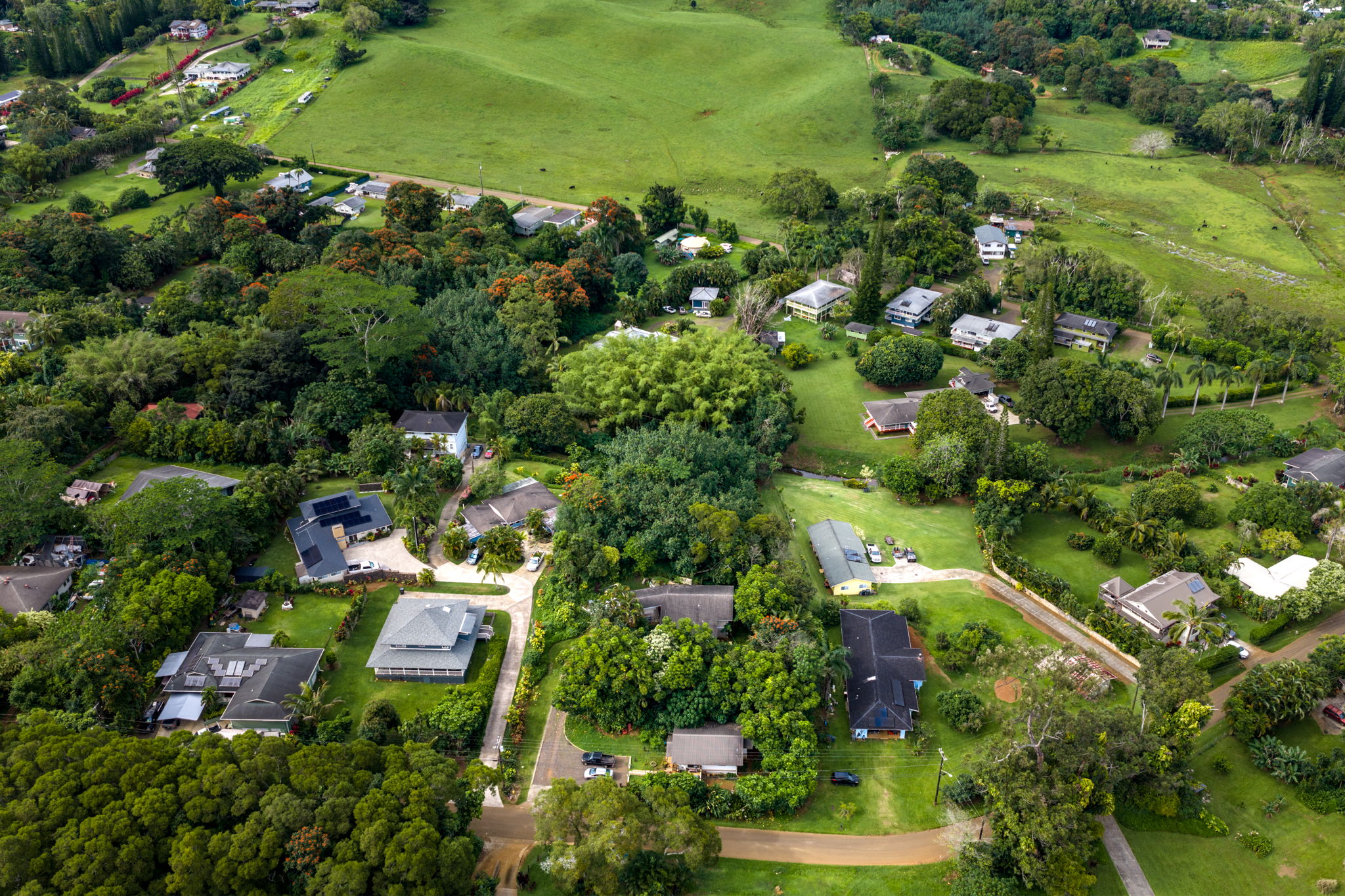 156 B Kalama Road Kapaa, HI 96746 - Photo 4 of 21 an aerial view of residential houses with outdoor space and trees