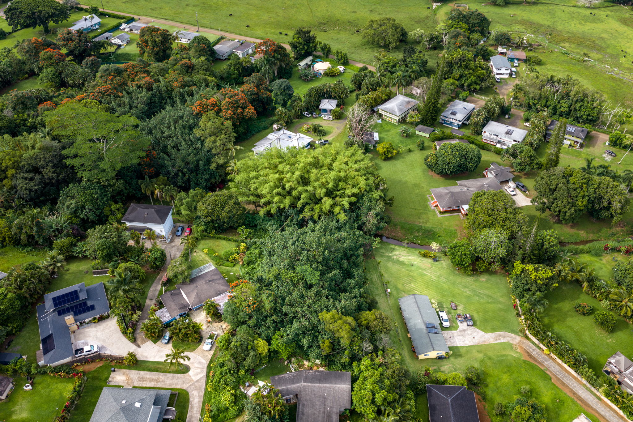 156 B Kalama Road Kapaa, HI 96746 - Photo 5 of 21 an aerial view of residential houses with outdoor space and trees all around