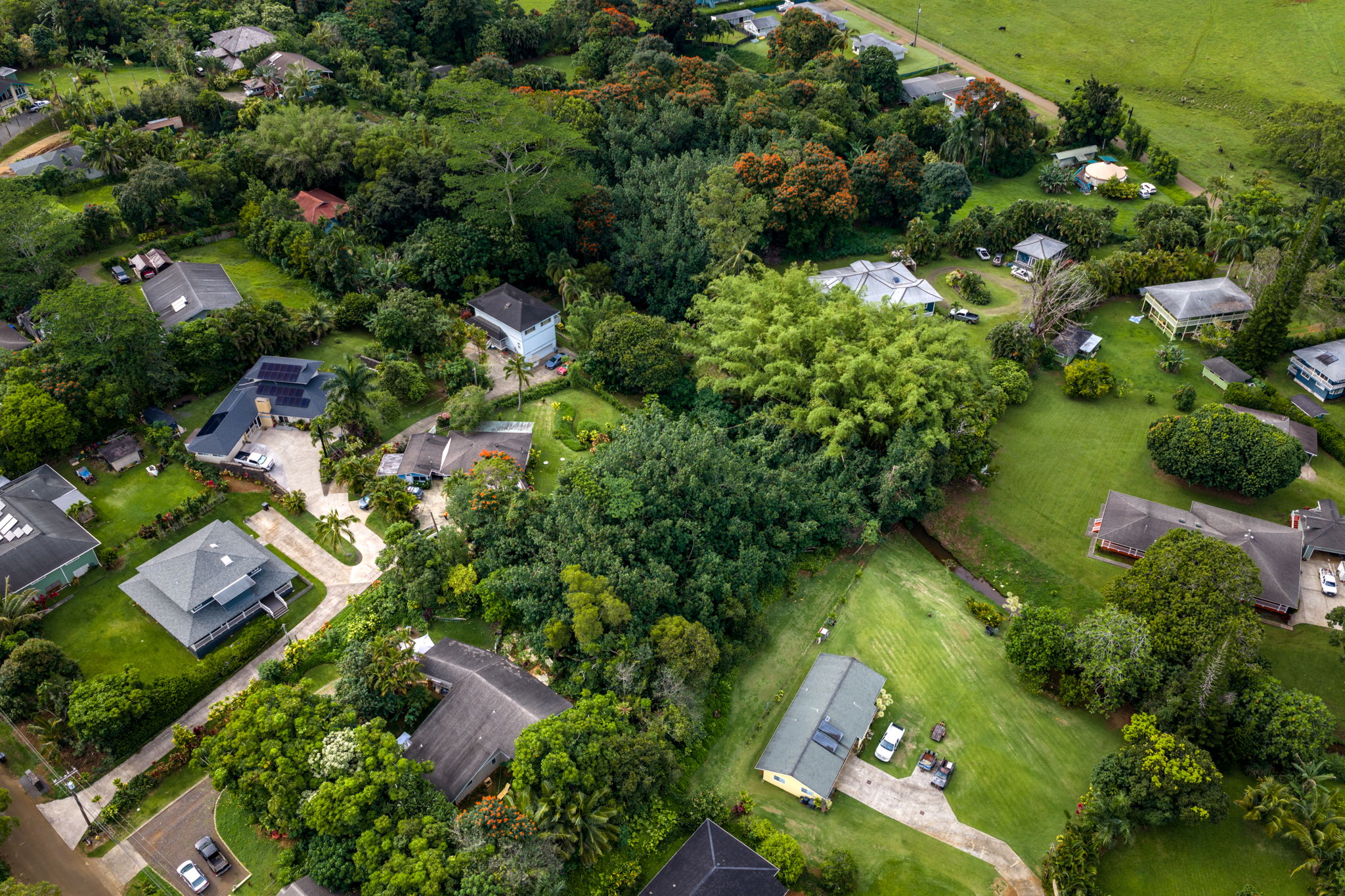 156 B Kalama Road Kapaa, HI 96746 - Photo 6 of 21 an aerial view of a residential houses with outdoor space and street view