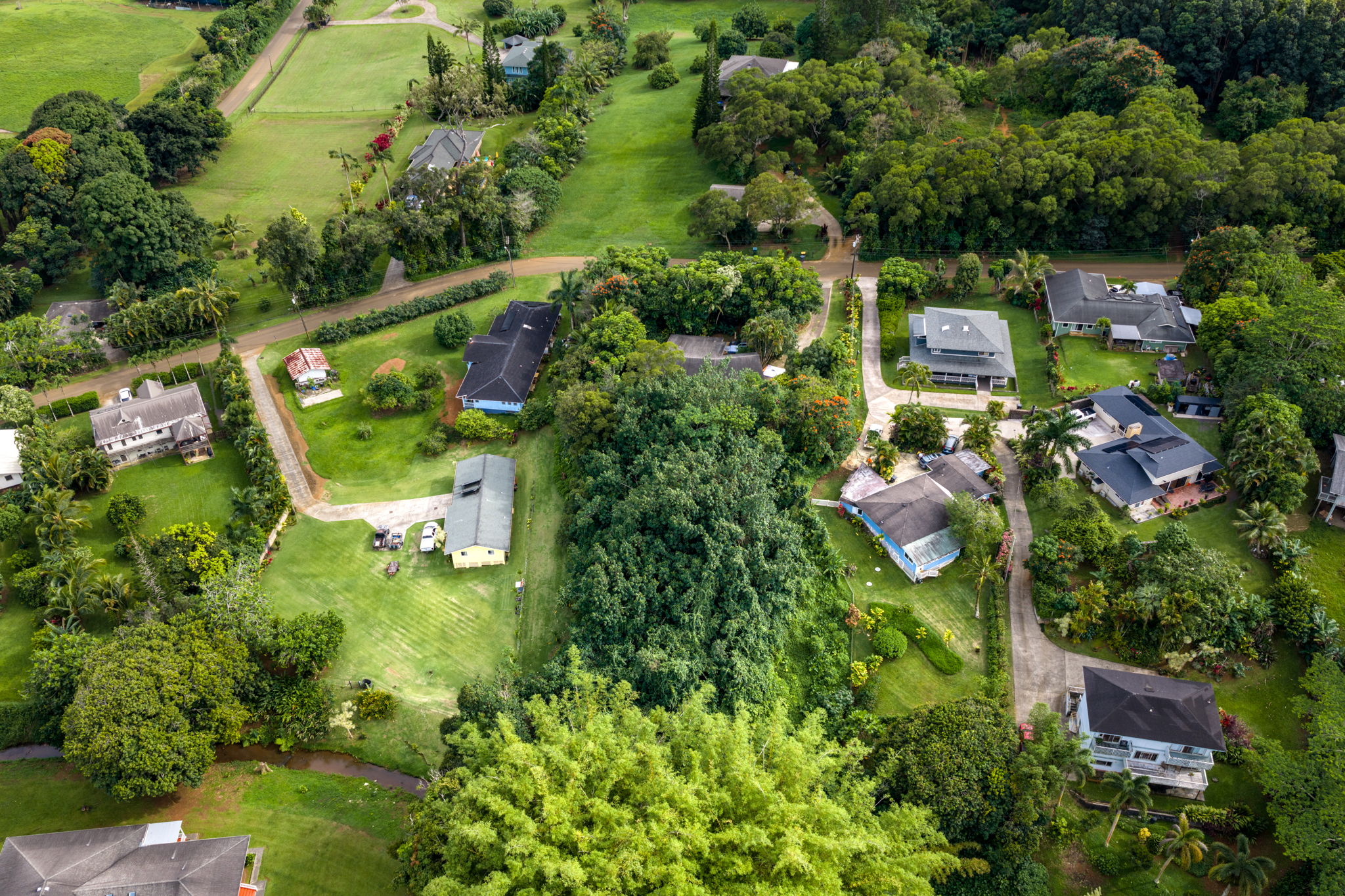 156 B Kalama Road Kapaa, HI 96746 - Photo 8 of 21 an aerial view of residential house with outdoor space and trees all around