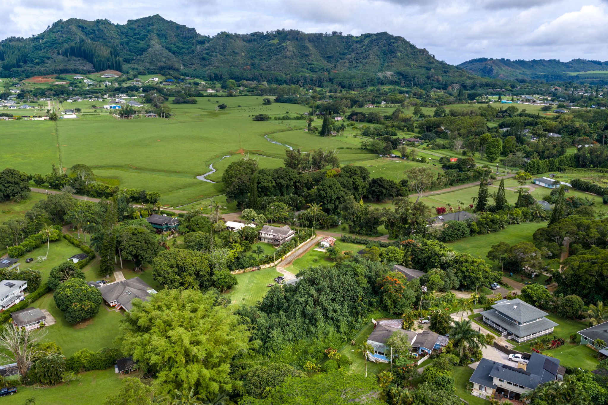 156 B Kalama Road Kapaa, HI 96746 - Photo 10 of 21 a view of a green field with lots of bushes