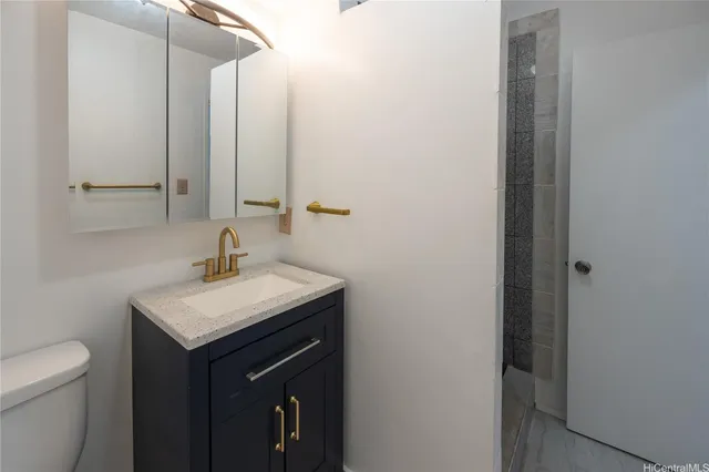 a bathroom with a sink a toilet and mirror