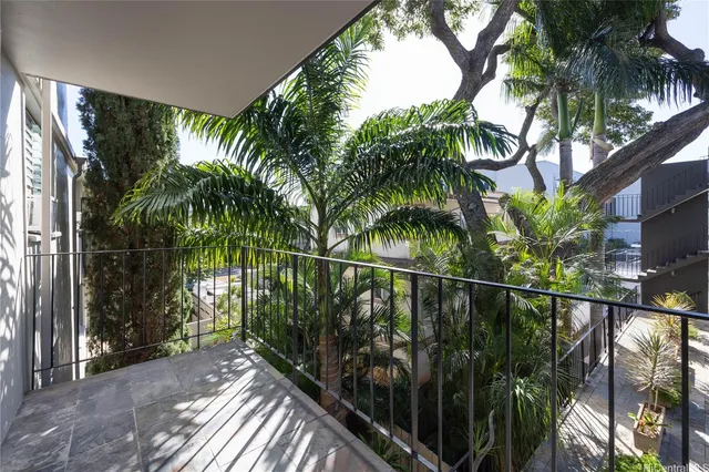 a view of a palm plant from a balcony