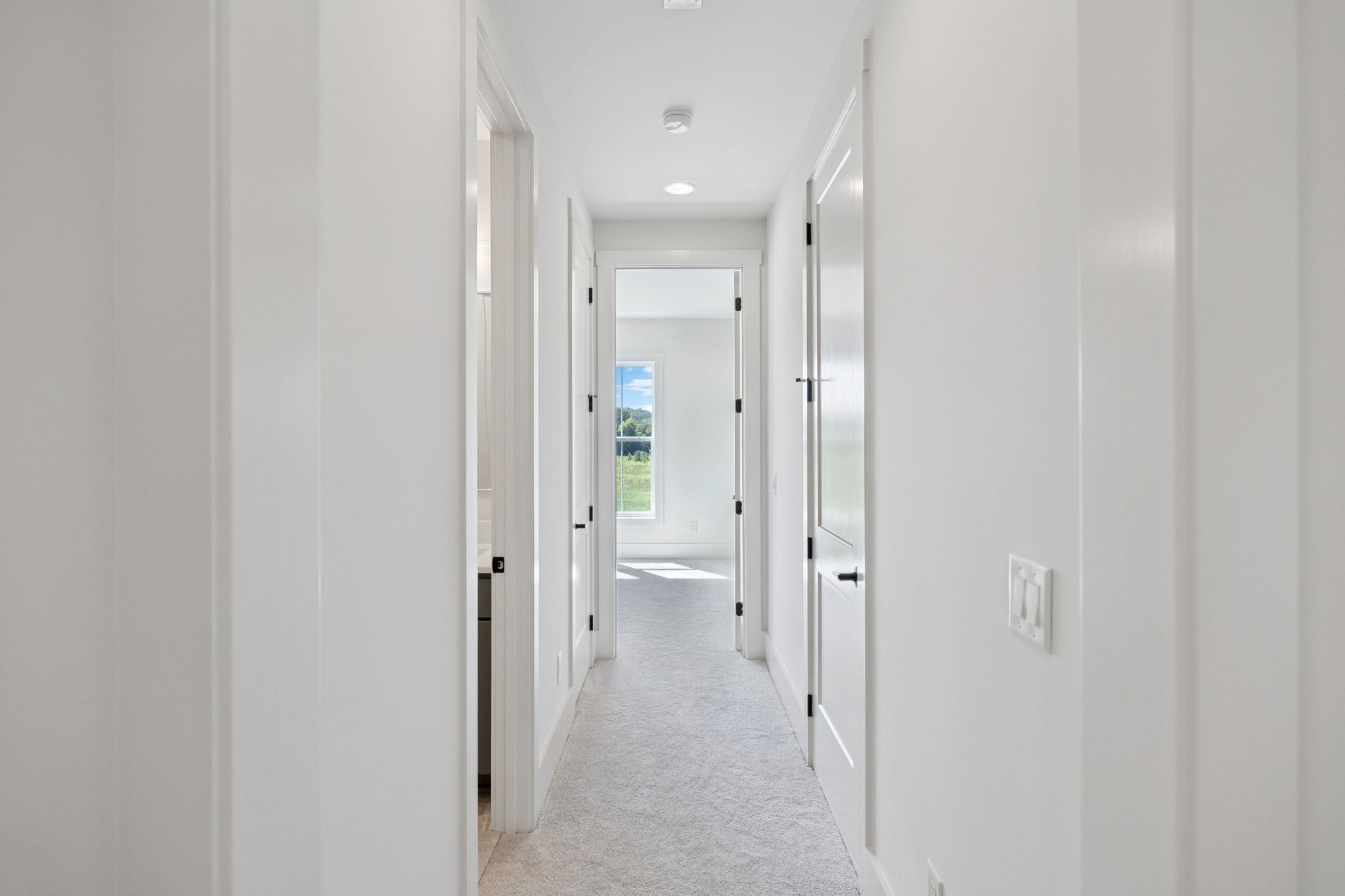 6216 Cedar Brooke Lane Spring Hill, TN 37174 - Photo 68 of 94