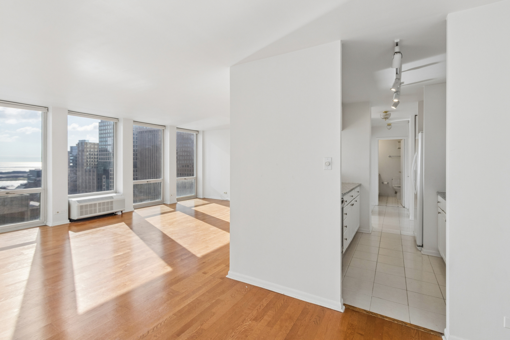 111 East Chestnut Street, Unit 25F Chicago, IL 60611 - Photo 3 of 19