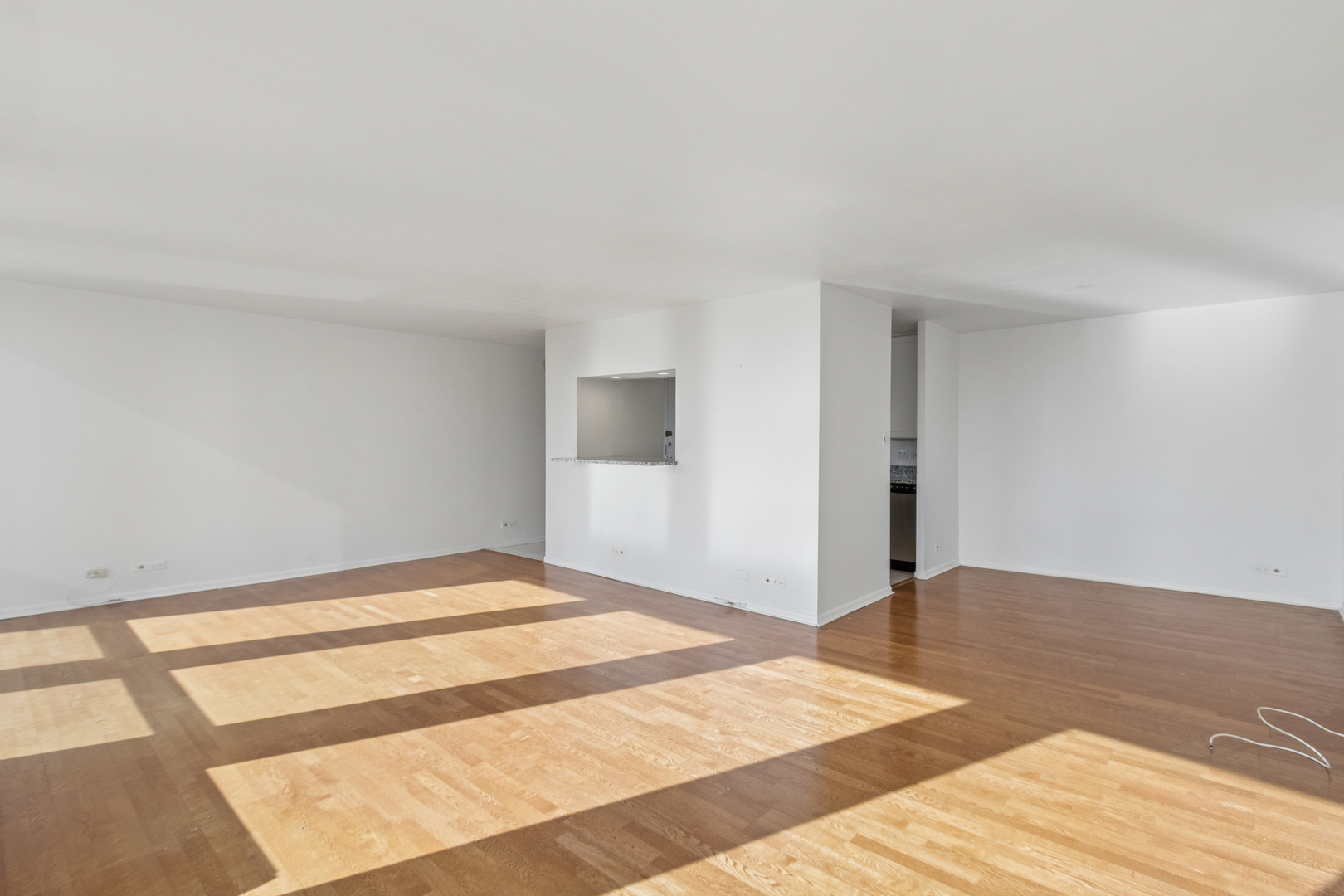 111 East Chestnut Street, Unit 25F Chicago, IL 60611 - Photo 5 of 19