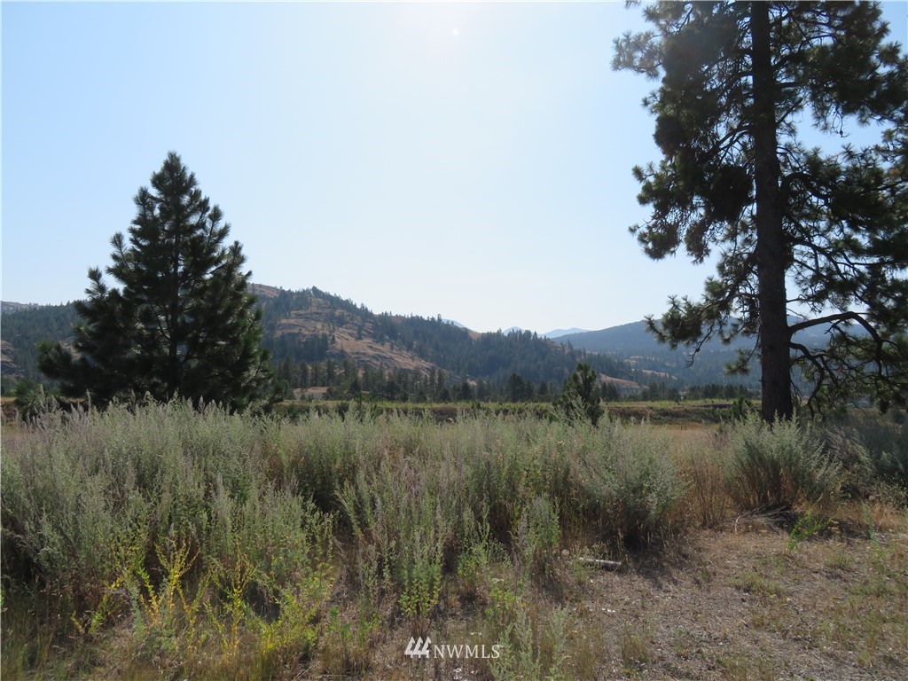 29 Deer Lake Road Republic, WA 99166 - Photo 20 of 25