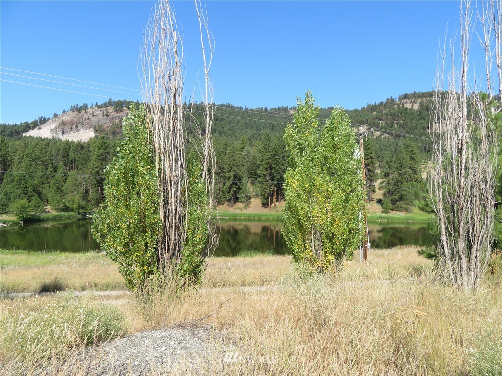 29 Deer Lake Road Republic, WA 99166 - Photo 23 of 25