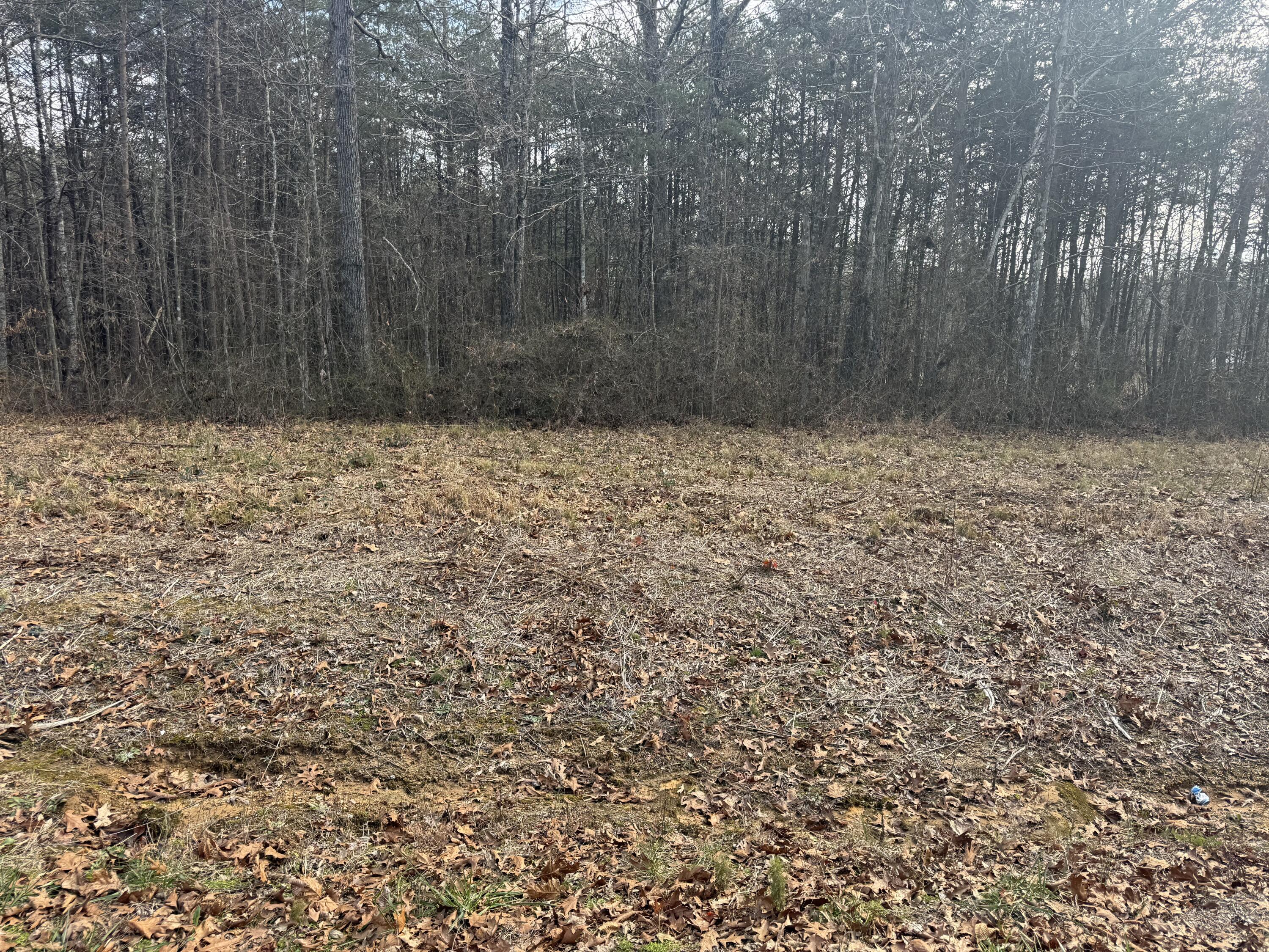 1 County Road, Unit 267 LOT 6 Bryant, AL 35958 - Photo 2 of 7 IMG_9674