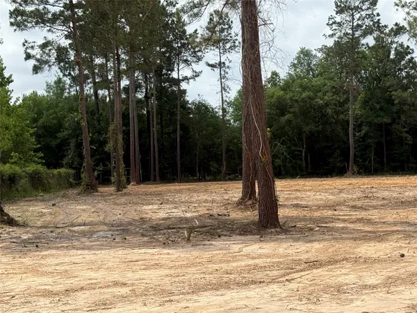 $65,000 | 848 County Road 3679, Cleveland, TX 77327