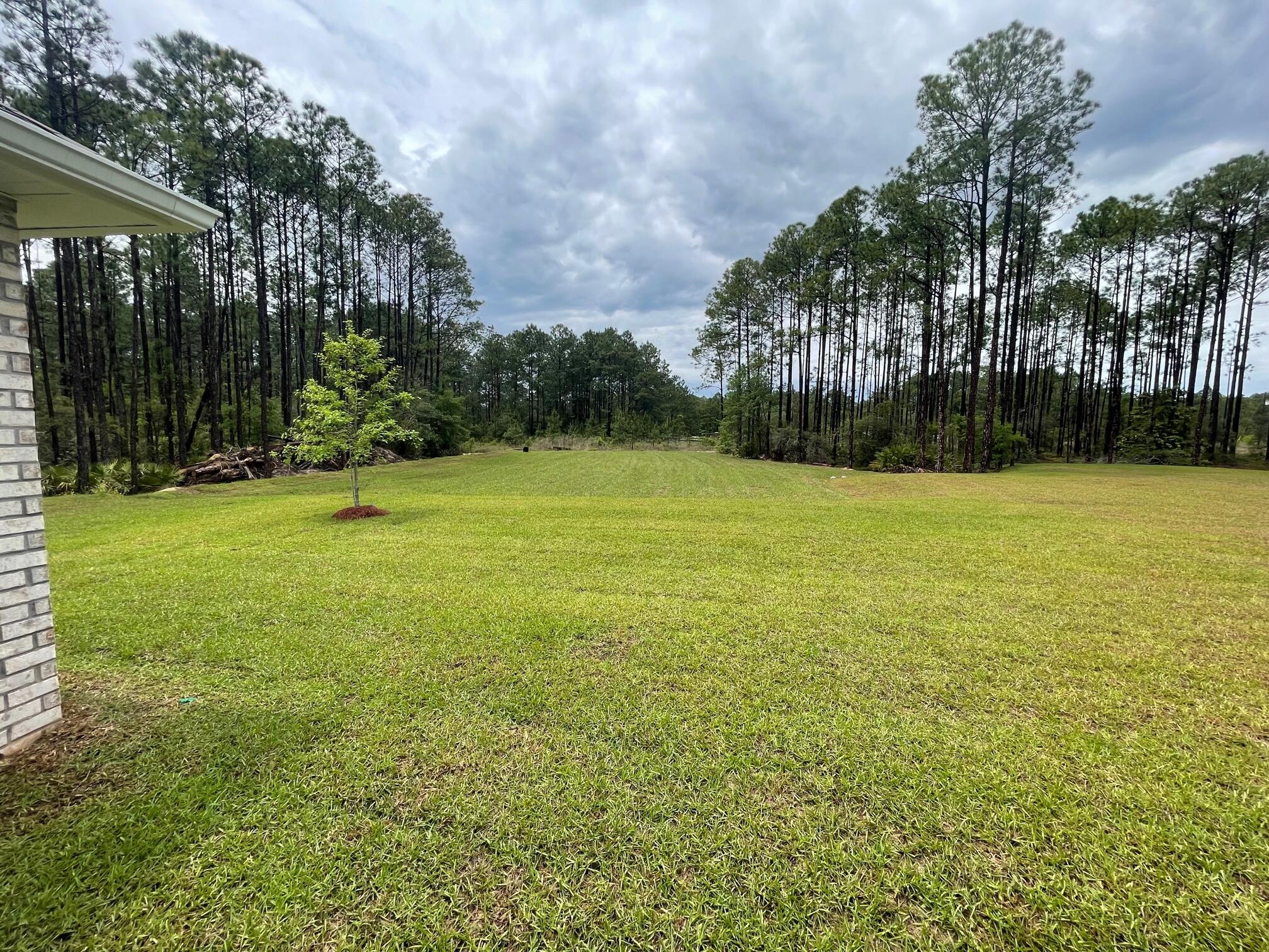 48 Bentgrass Road South Freeport, FL 32439 - Photo 11 of 13 lot 76 back yard