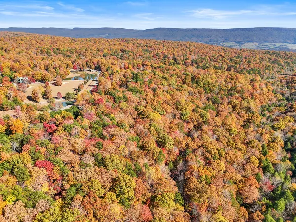 $19,000 | Lot 202 Deep Woods Drive, Unit 202, Dunlap, TN 37327