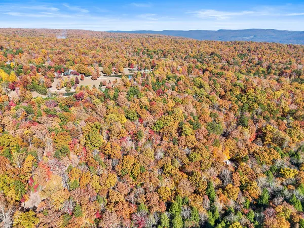 $19,000 | Lot 202 Deep Woods Drive, Unit 202, Dunlap, TN 37327
