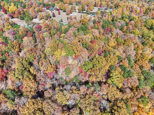 $19,000 | Lot 202 Deep Woods Drive, Unit 202, Dunlap, TN 37327