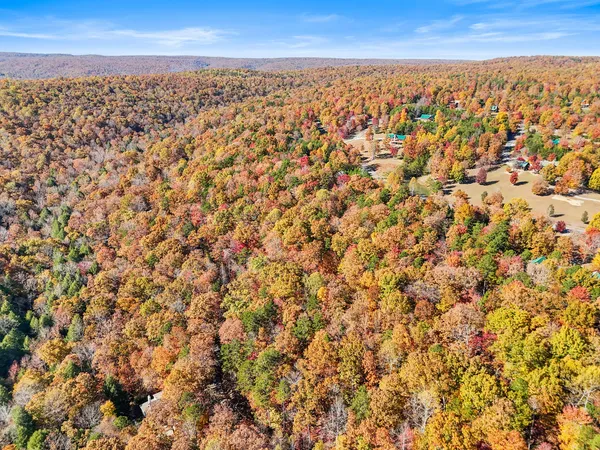 $19,000 | Lot 202 Deep Woods Drive, Unit 202, Dunlap, TN 37327