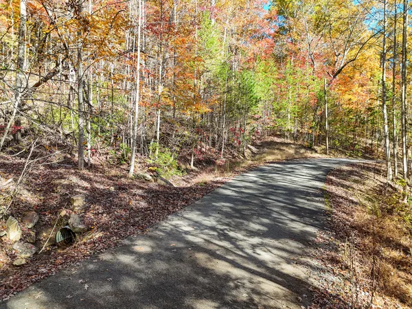 $19,000 | Lot 202 Deep Woods Drive, Unit 202, Dunlap, TN 37327