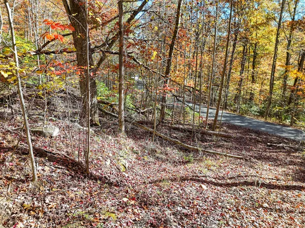 $19,000 | Lot 202 Deep Woods Drive, Unit 202, Dunlap, TN 37327