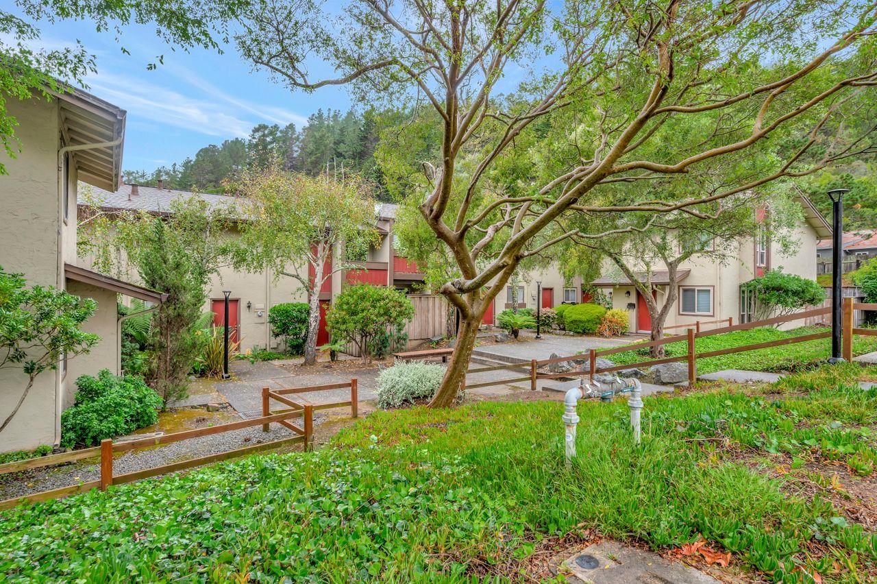 1181 Oddstad Boulevard Pacifica, CA 94044 - Photo 2 of 35 a garden view with a seating space