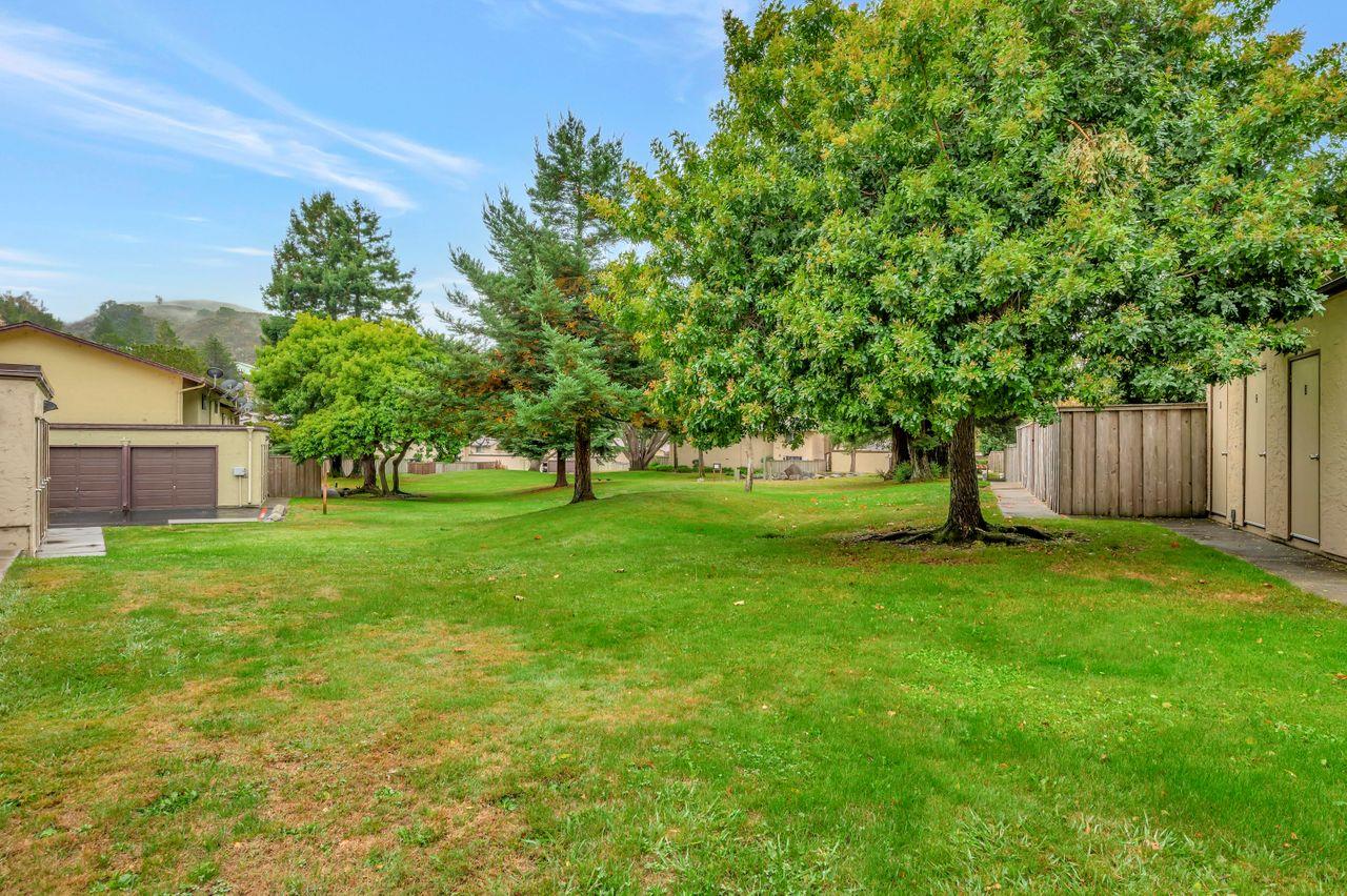1181 Oddstad Boulevard Pacifica, CA 94044 - Photo 35 of 35 a view of a tree in front of a big yard