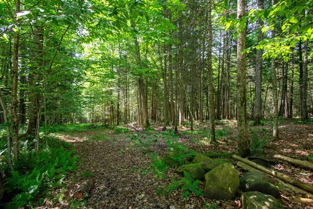 $247,000 | 758 Houghton Bridge Road, St. Johnsbury, VT 05819