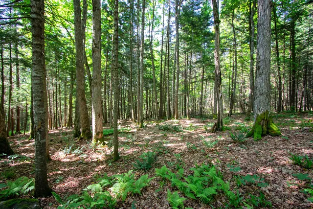 $247,000 | 758 Houghton Bridge Road, St. Johnsbury, VT 05819