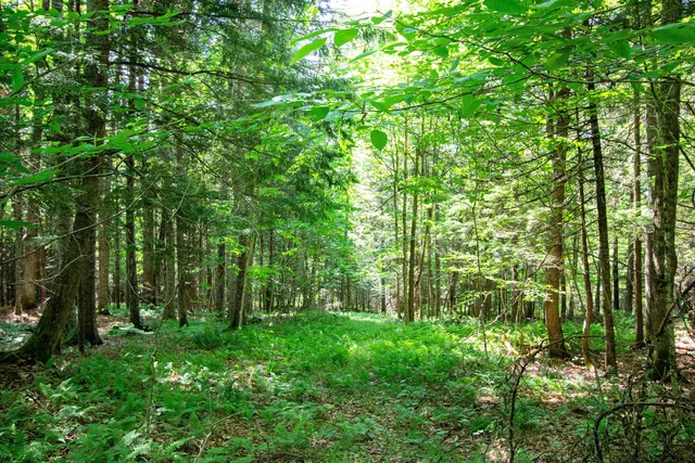 $247,000 | 758 Houghton Bridge Road, St. Johnsbury, VT 05819