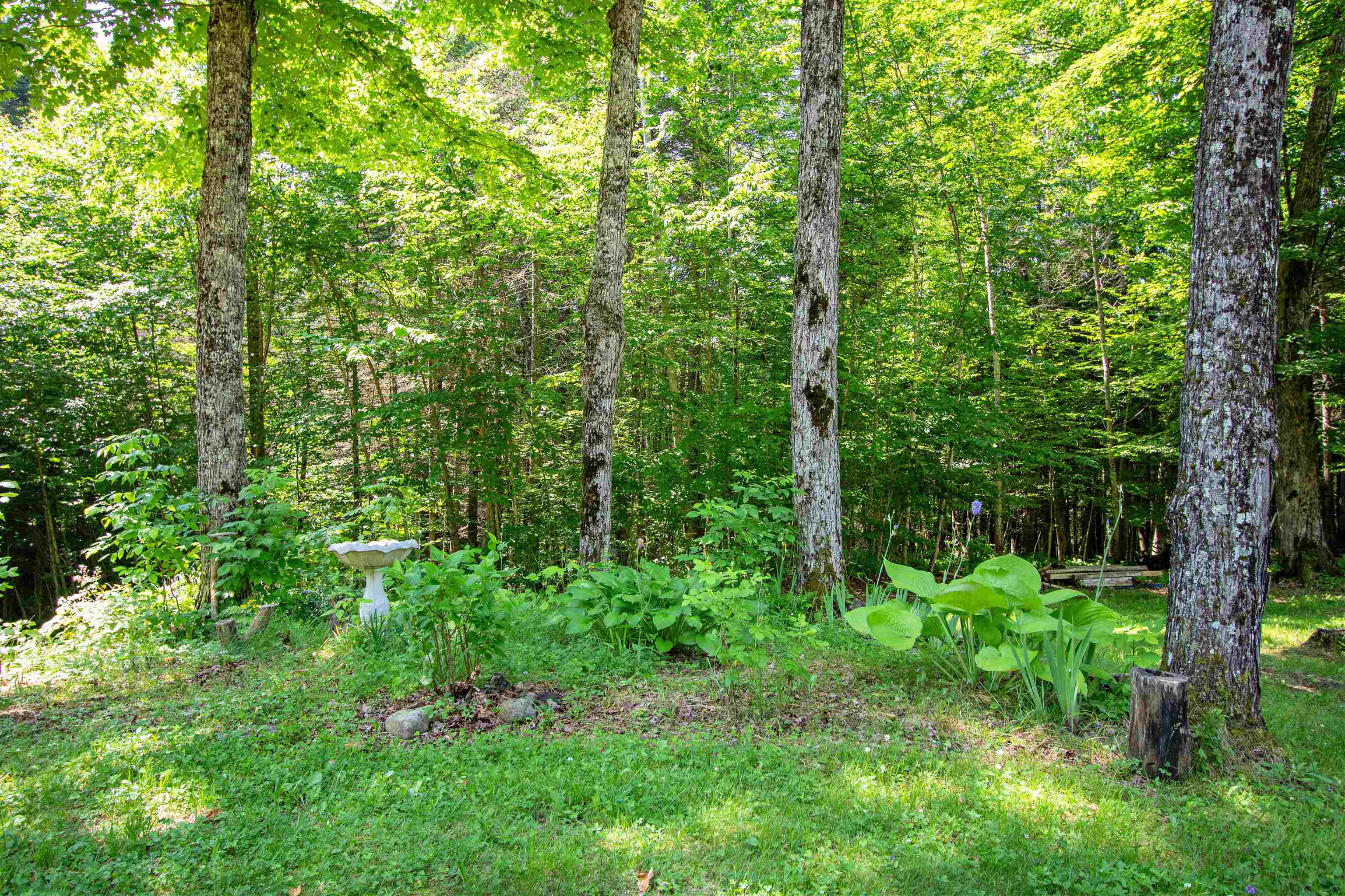 758 Houghton Bridge Road St. Johnsbury, VT 05819 - Photo 35 of 46