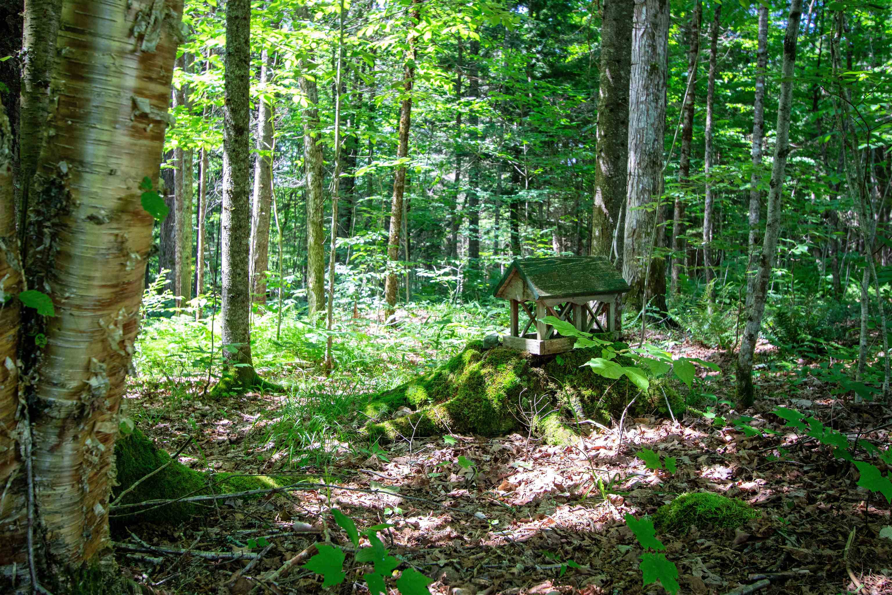 758 Houghton Bridge Road St. Johnsbury, VT 05819 - Photo 36 of 46