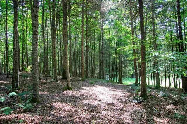 $247,000 | 758 Houghton Bridge Road, St. Johnsbury, VT 05819