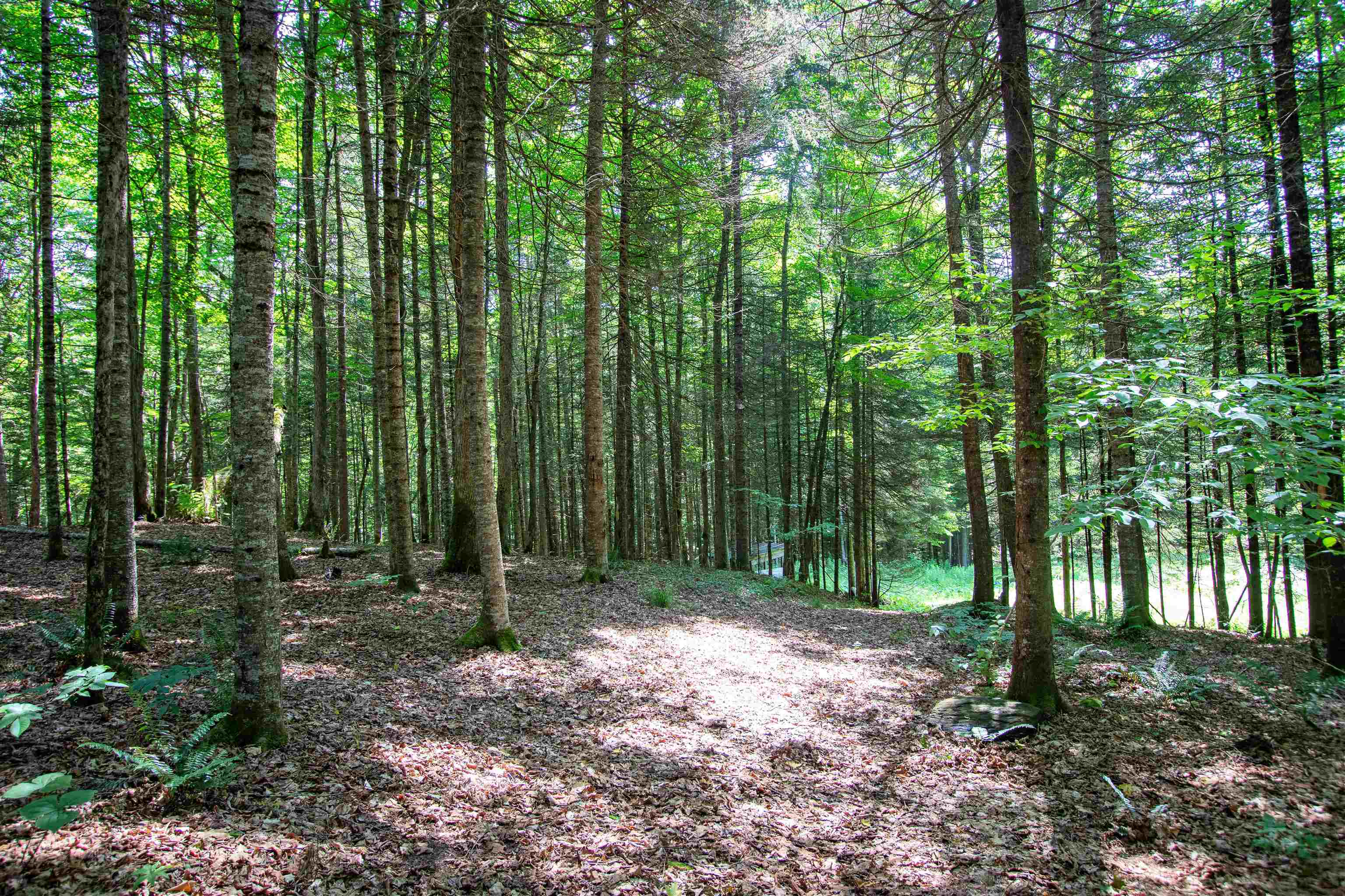 758 Houghton Bridge Road St. Johnsbury, VT 05819 - Photo 37 of 46