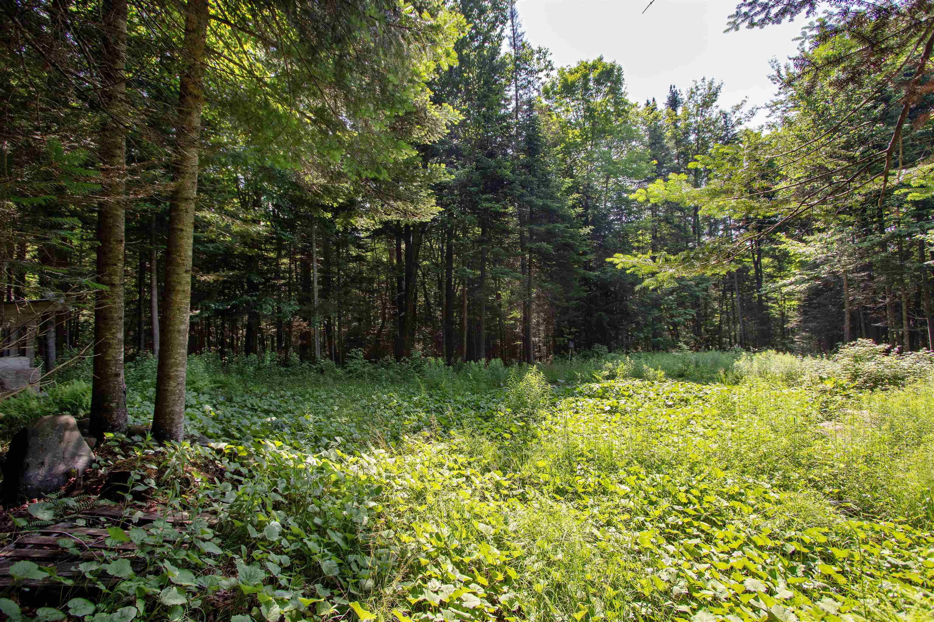 758 Houghton Bridge Road St. Johnsbury, VT 05819 - Photo 38 of 46