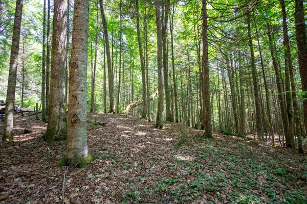 $247,000 | 758 Houghton Bridge Road, St. Johnsbury, VT 05819