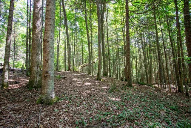 $247,000 | 758 Houghton Bridge Road, St. Johnsbury, VT 05819