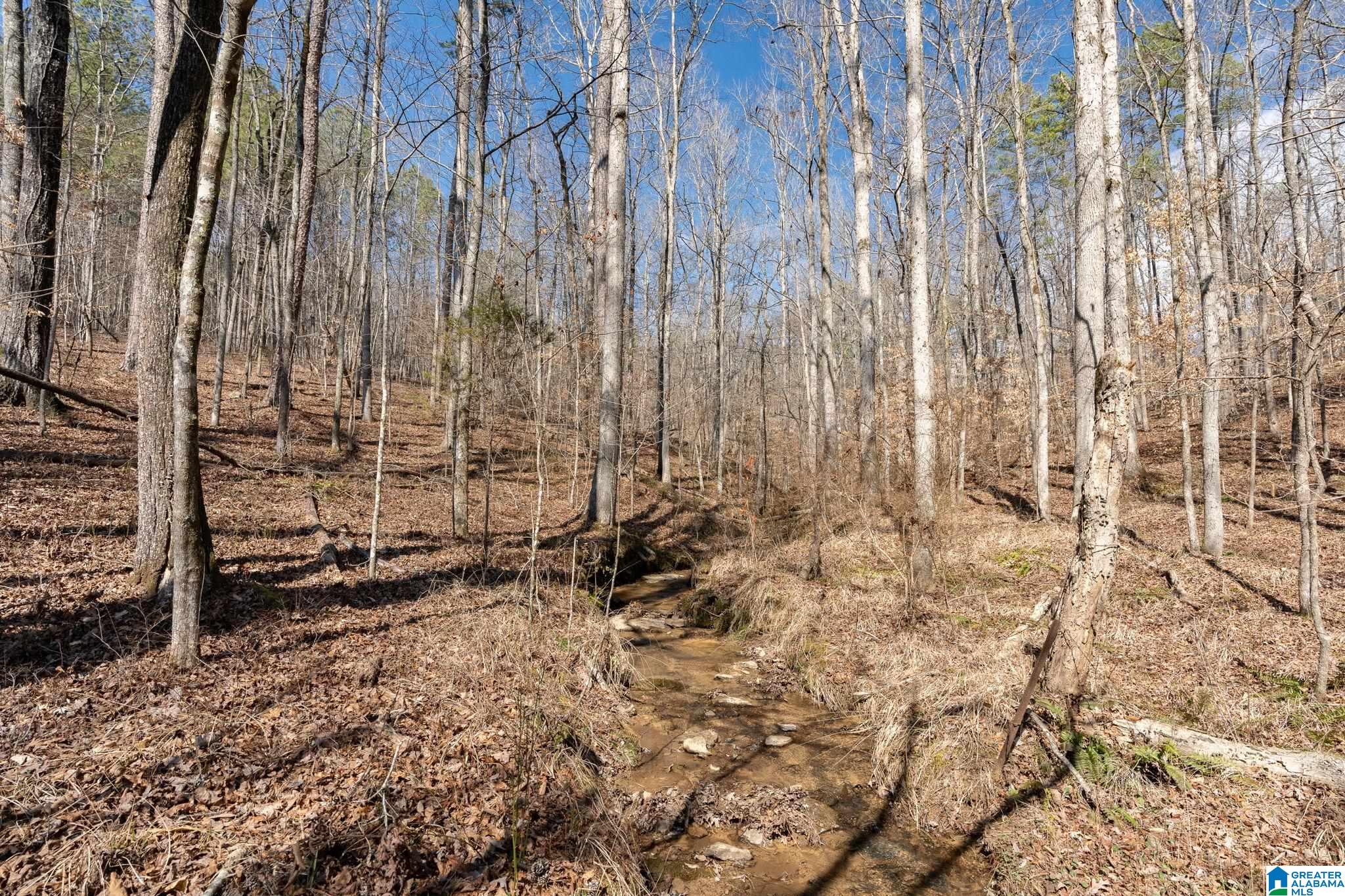 2050 Argo Margaret Road Odenville, AL 35120 - Photo 58 of 61