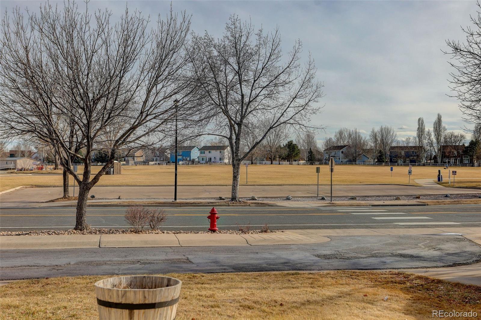 6483 St Vrain Ranch Boulevard Firestone, CO 80504 - Photo 25 of 25