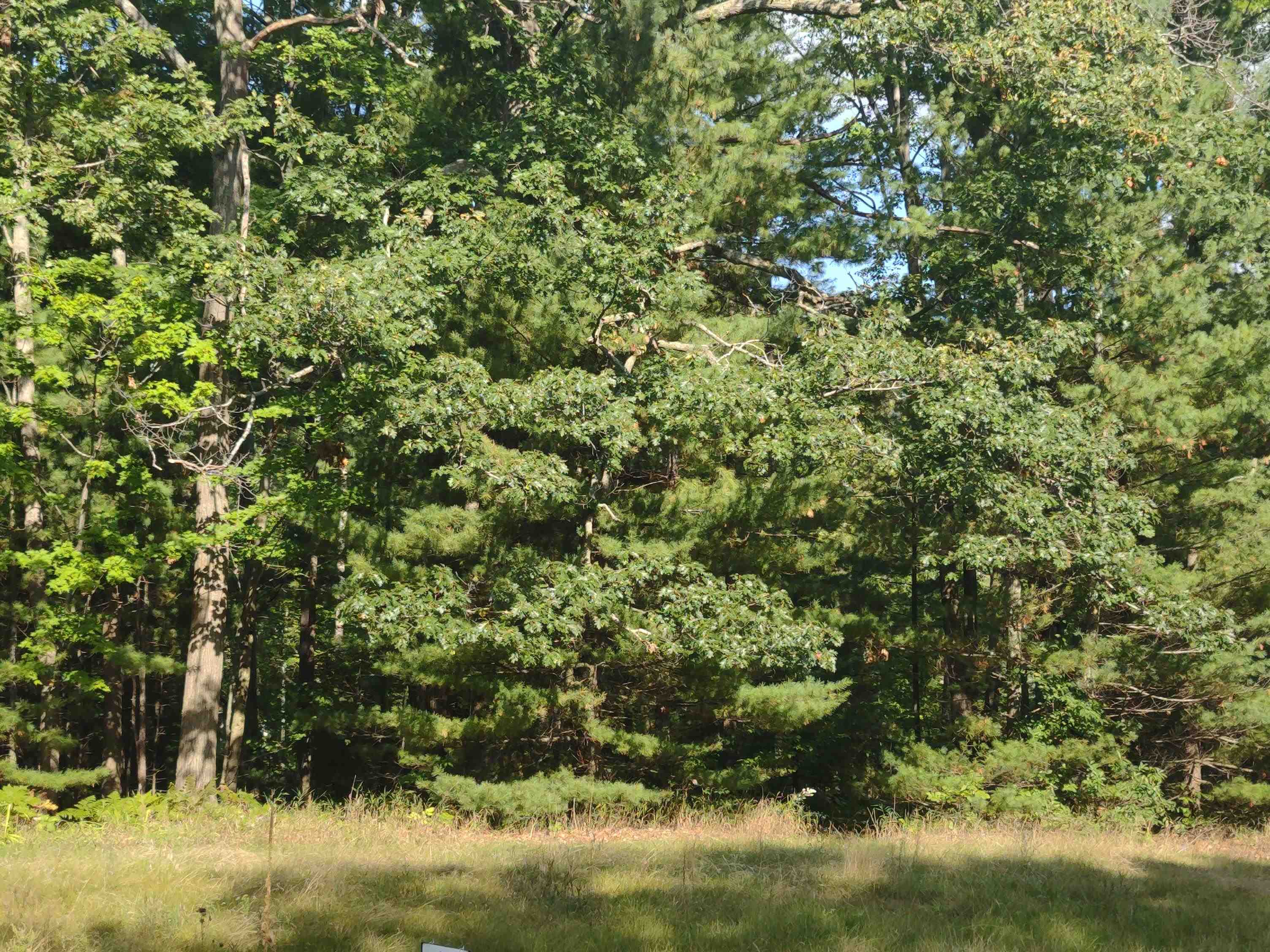 N/a South Huron Road Au Gres, MI 48703 - Photo 2 of 10