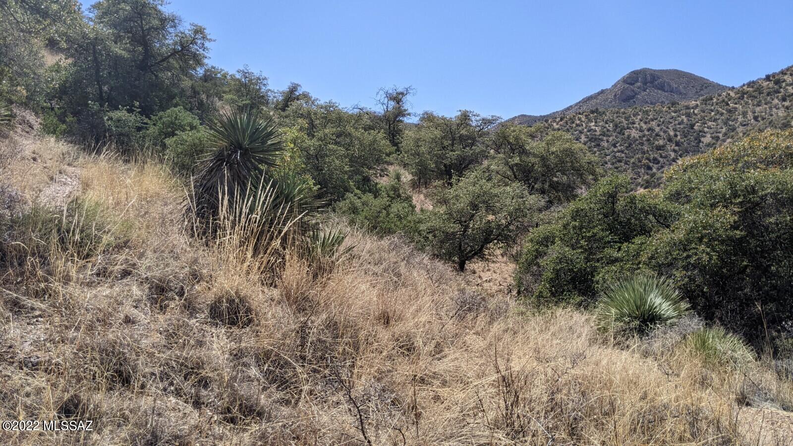Tbd Adams Avenue, Unit MULTIPL Bisbee, AZ 85603 - Photo 35 of 35