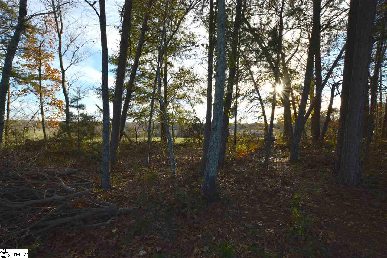 744 Ohenry Drive Inman, SC 29349 - Photo 8 of 24
