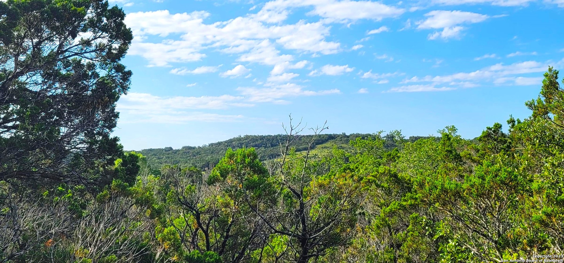 a view of a bunch of trees