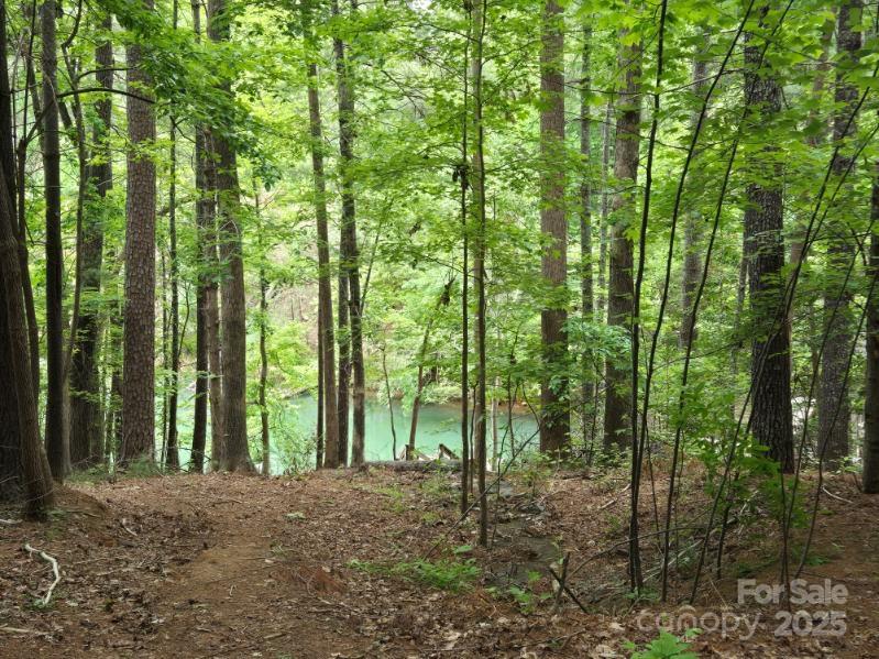 a view of outdoor space and trees