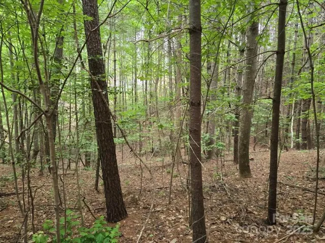 a view of outdoor space and trees