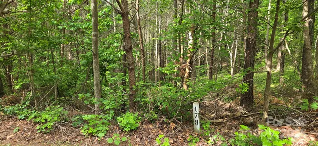 a backyard of a house with lots of trees