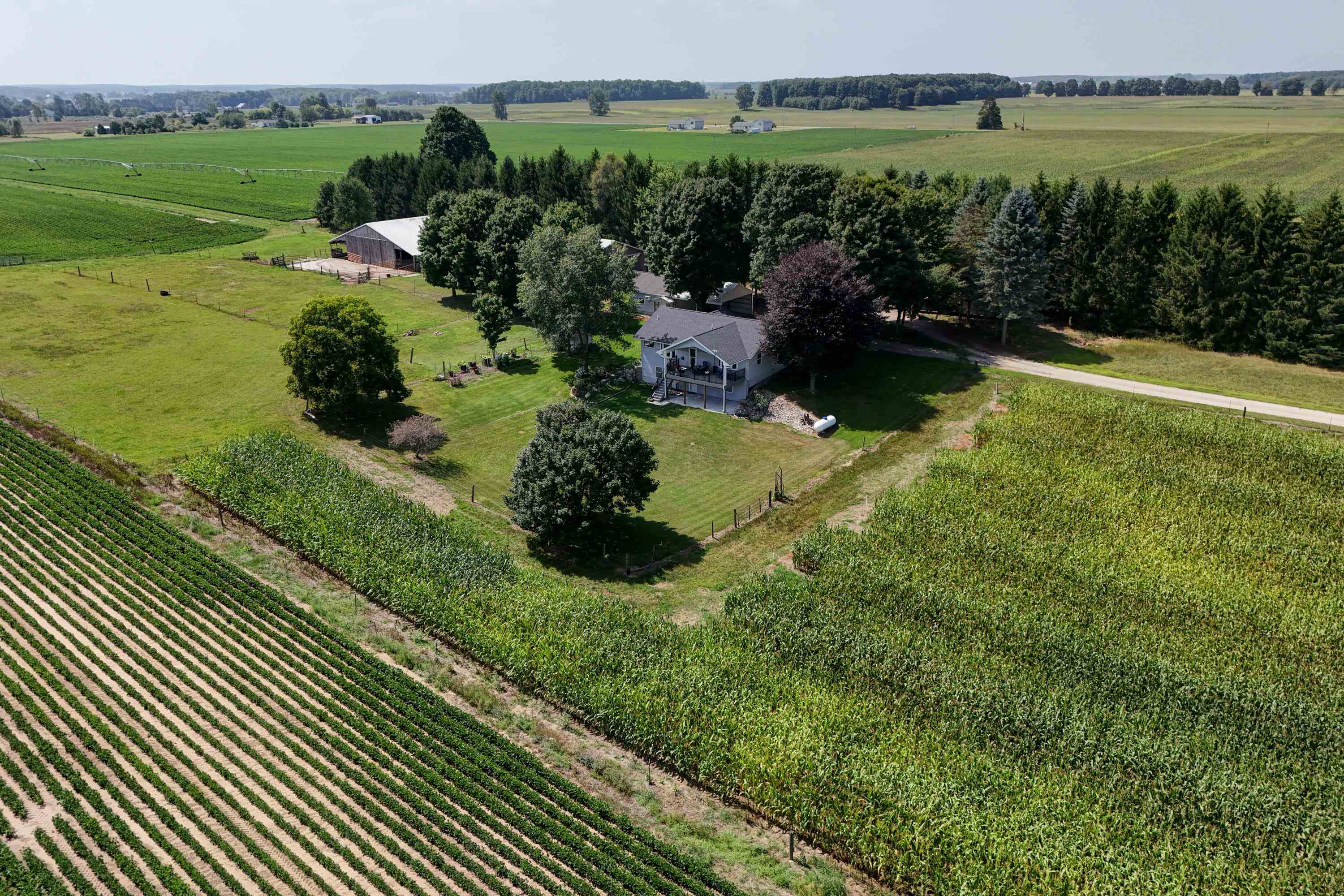 5773 Zue Road Buckley, MI 49620 - Photo 70 of 75 Gallery Image 70