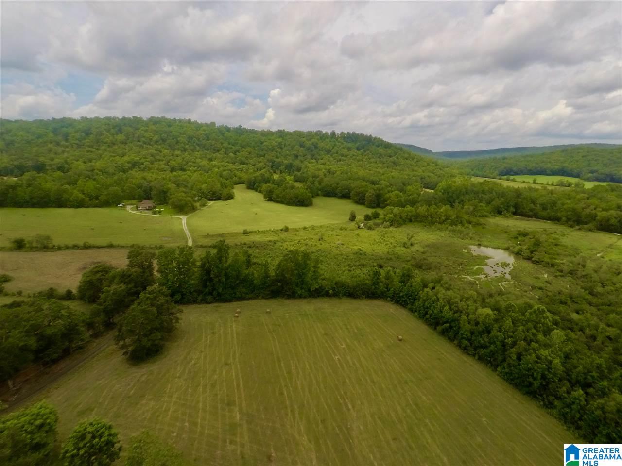 3775 Tidwell Hollow Road Oneonta, AL 35121 - Photo 44 of 49